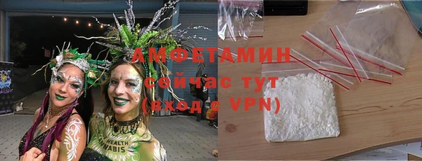 ГАЛЛЮЦИНОГЕННЫЕ ГРИБЫ Алексин