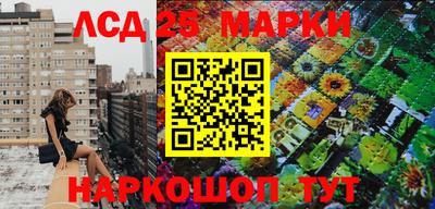 гашик Лесосибирск