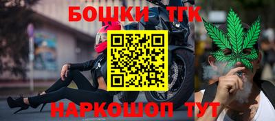 гашик Лесосибирск