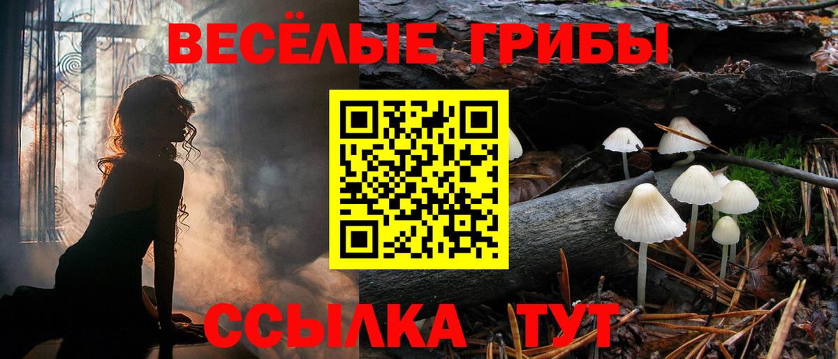 Кемерово  Галлюциногенные грибы Psilocybine cubensis  Вход с VPN 